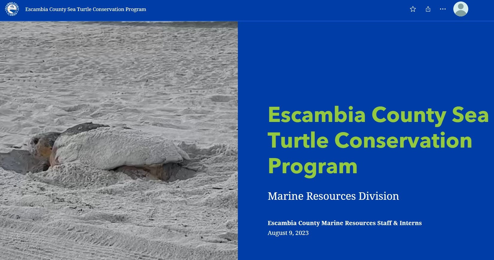Sea Turtle Story Map Cover