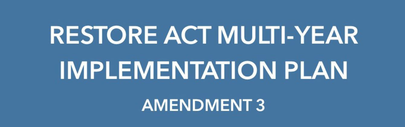 Multi-Year Implementation Plan Amendment 3