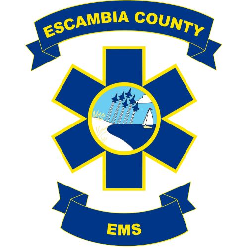 Smaller Resolution EMS logo