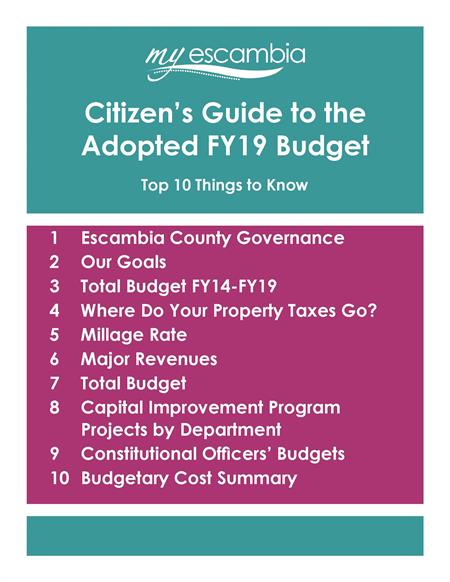 2019 Citizens Guide to the Budget