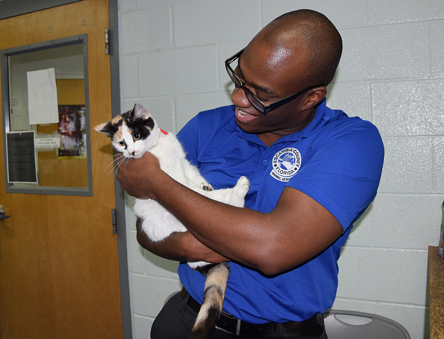 Animal Shelter Cat with Staff