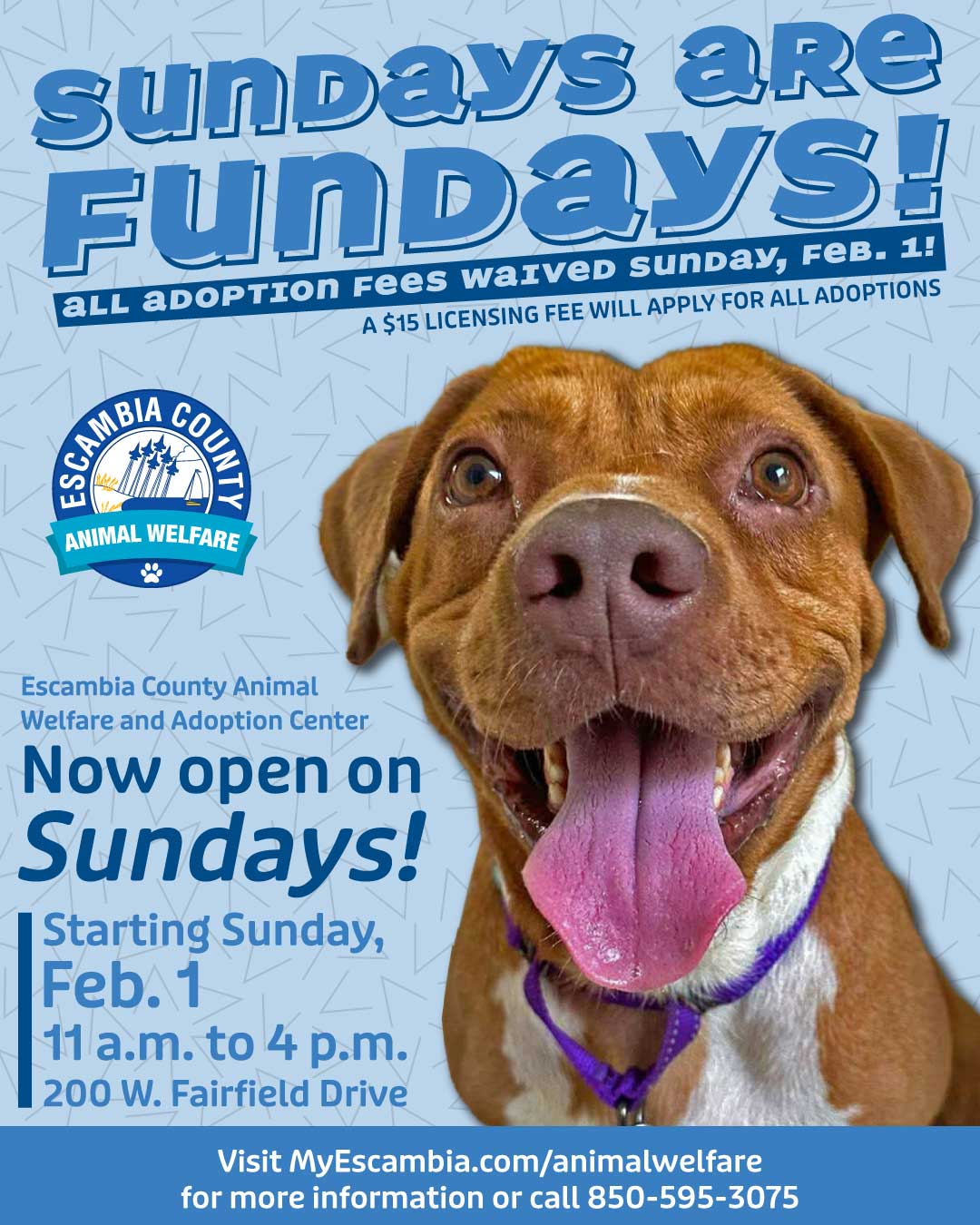 Animal Welfare Now Open on Sundays Flyer advertising new Sunday hours at the animal shelter with a smiling dog