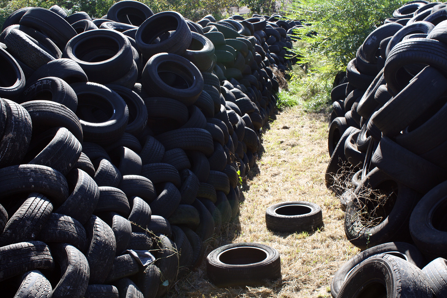 An estimated 20,000 waste tires were removed from B&S Tires