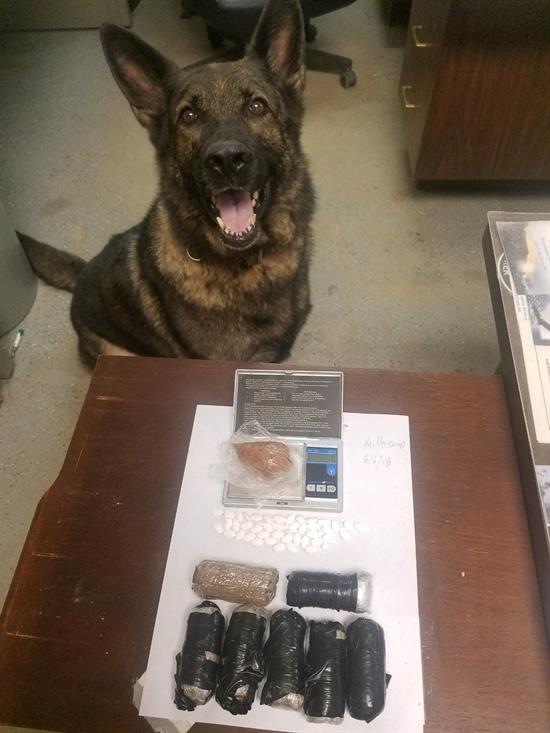 Britt poses with some of her narcotics finds in the Escambia County Road Prison housing area. 