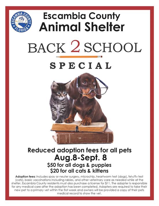 Escambia County Animal Shelter Back to School Adoption Special Flyer