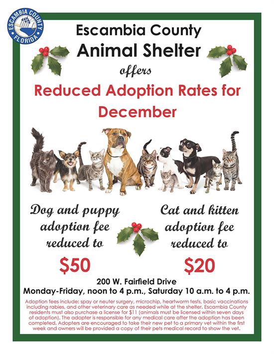 December Adoption Specials Flyer December Adoption Specials Flyer