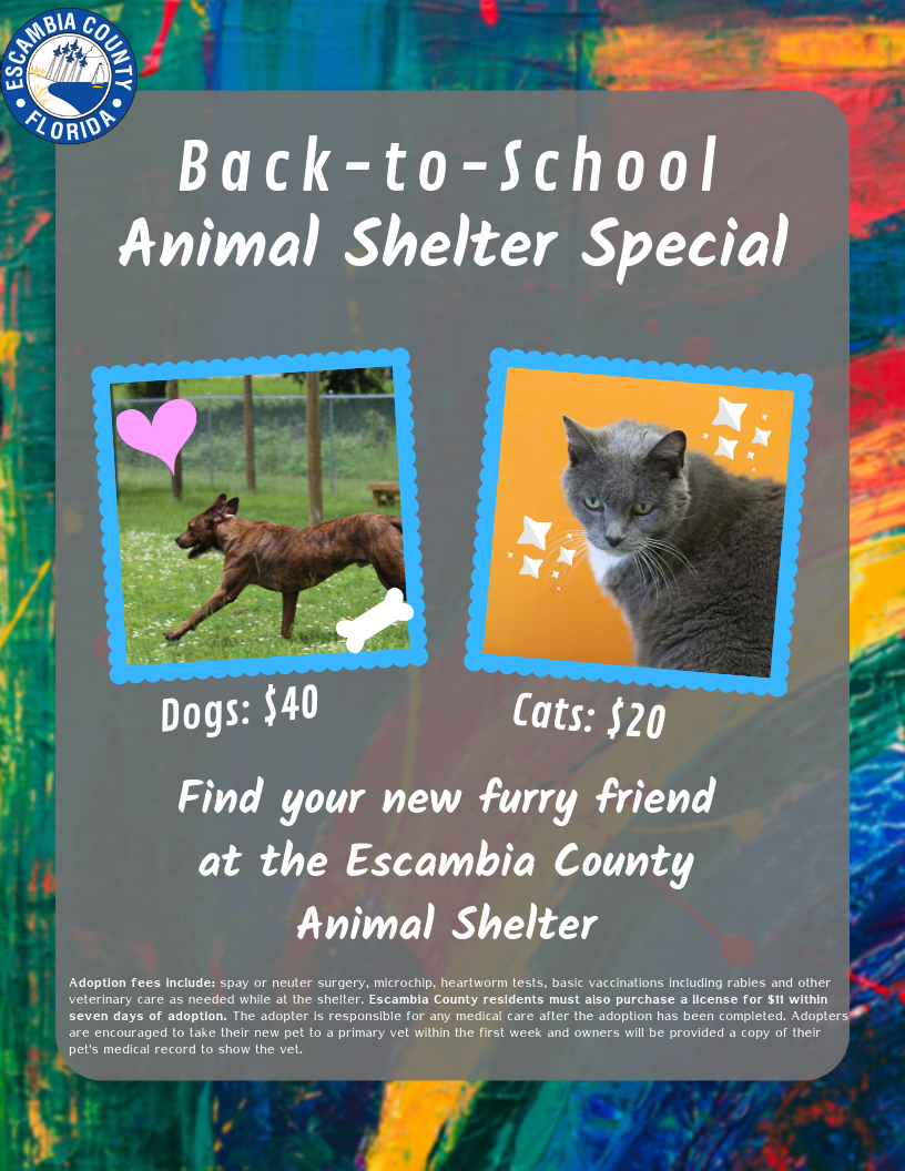 Animal Shelter Back to School Special 