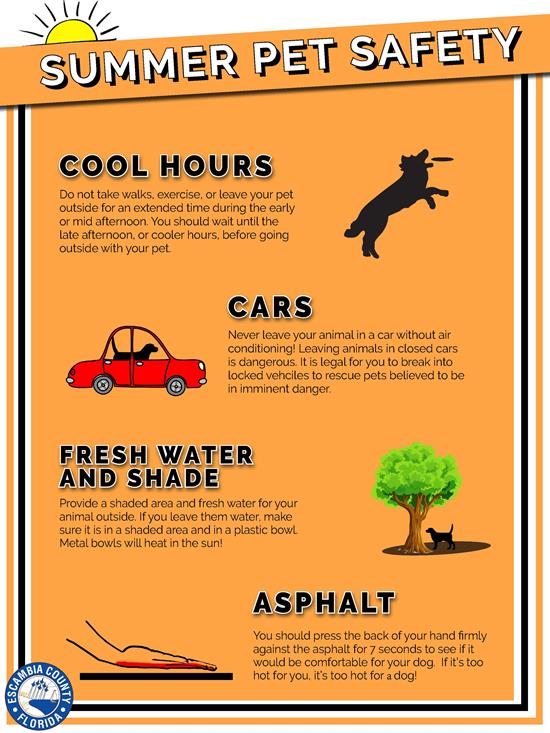 General Pet Heat Safety Graphic General Pet Heat Safety Graphic