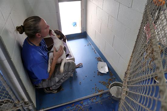 A volunteer gives some love a dog at the Escambia County Animal Shelter. A volunteer gives some love a dog at the Escambia County Animal Shelter.