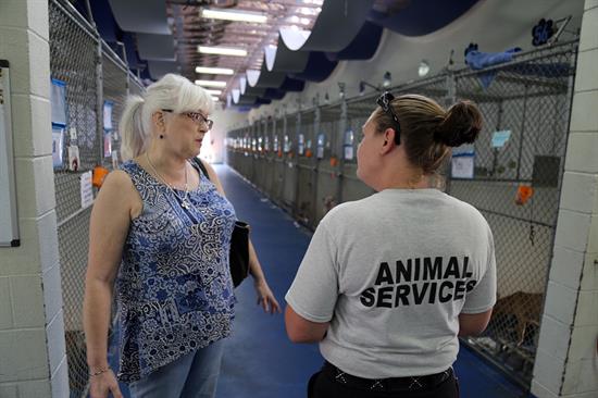 Shelter staff member Emily Watford assists potential adopter Lisa Morgan in the dog kennel area of the shelter. Shelter staff member Emily Watford assists potential adopter Lisa Morgan in the dog kennel area of the shelter.