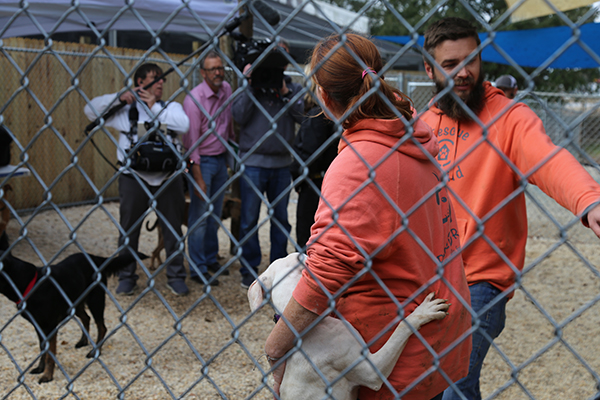 Animal Shelter Reopening 3