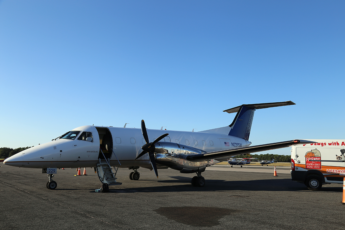 Animal Services Transports Dogs Via Plane to Partner Shelter in San Diego