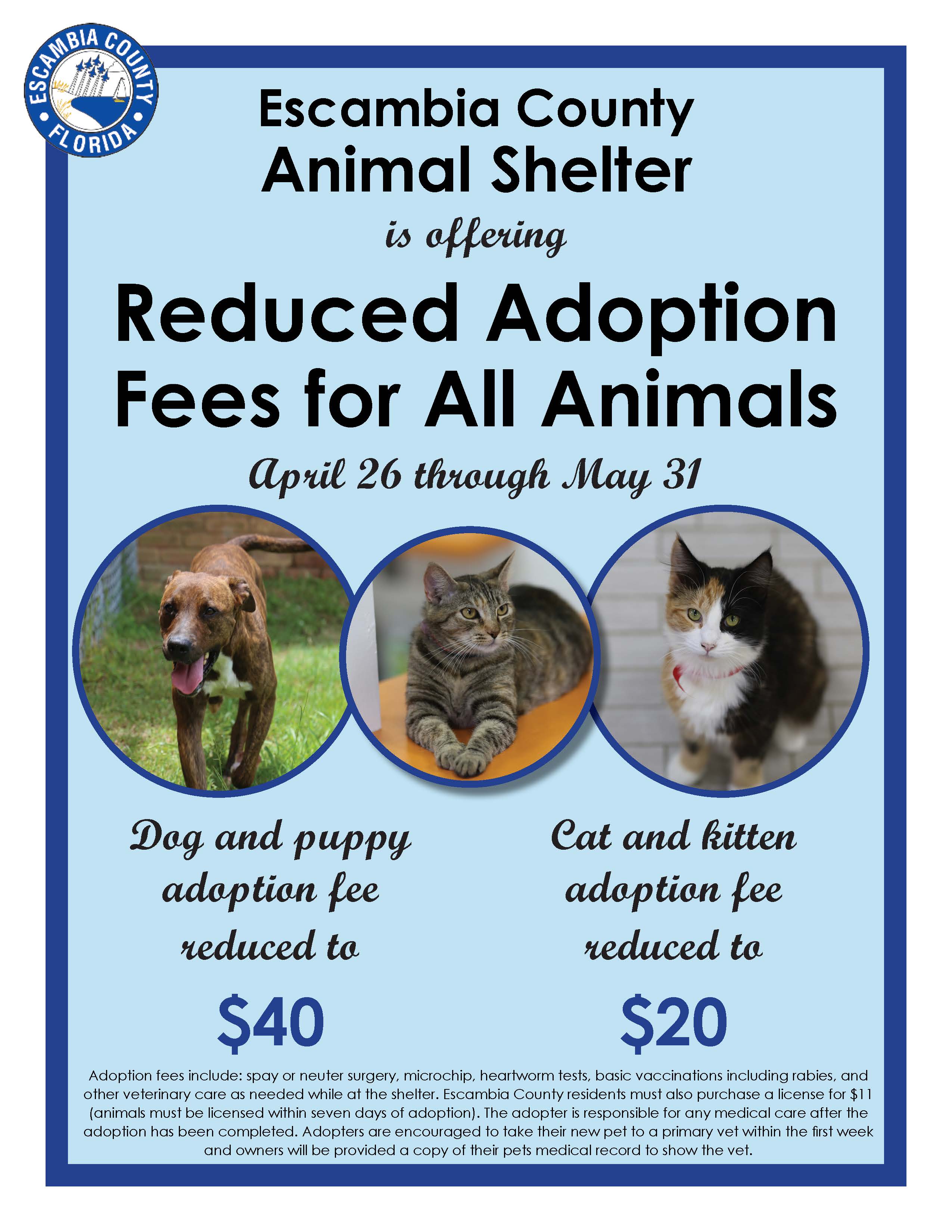 Reduced Adoption Fees for All Animals Flyer