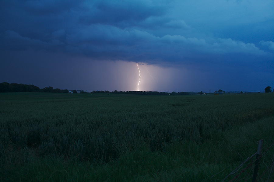 Lightning strikes in a field during a storm.
