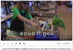 Marine Life and Plastic Bags PSA Marine Life and Plastic Bags PSA