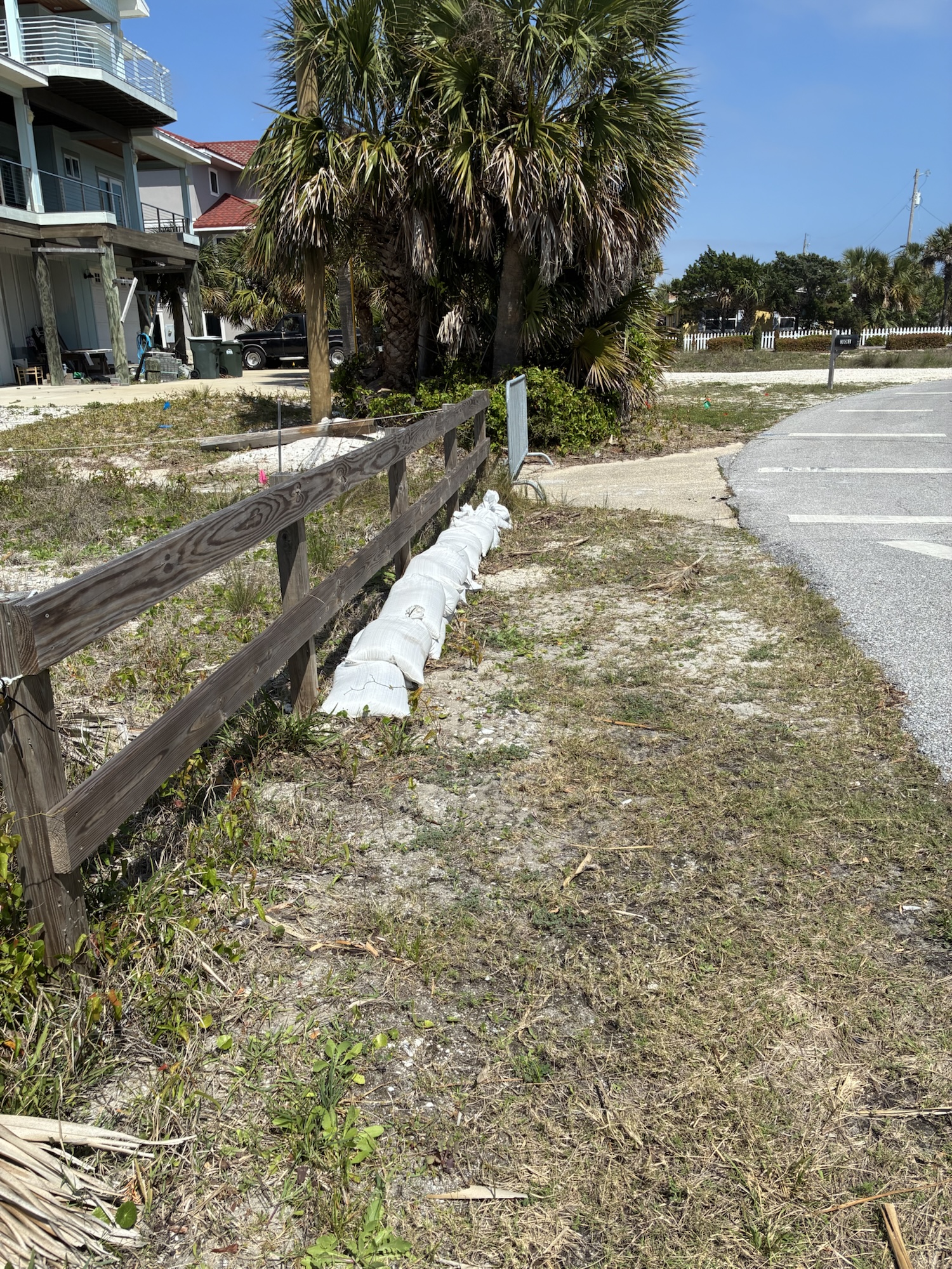 Panferio- Before Pic 2