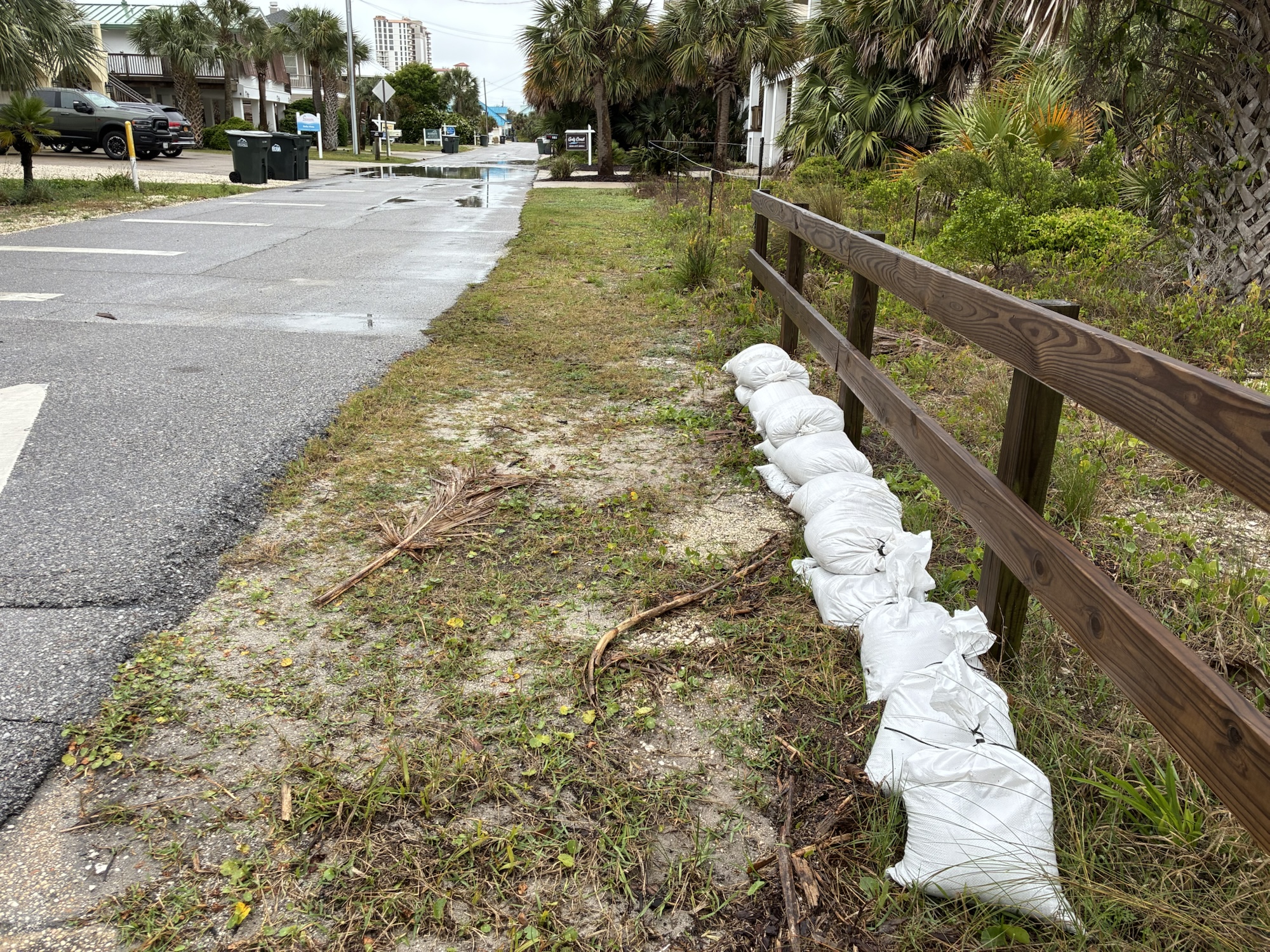 Panferio- Before Pic 3