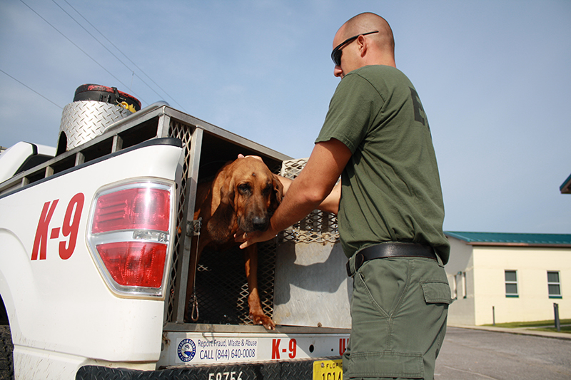 Road Prison K9 Unit