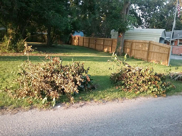 Yard debris left for pickup during the Aug. 15 Brownsville/Englewood Neighborhood Cleanup.