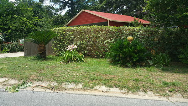 Trash was left at the curb to be picked up during the Mayfair North Neighborhood Cleanup on June 13, 2018. More than 23 tons of debris was collected during the cleanup.