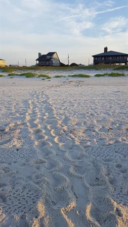 Clear Beach for Nesting Turtles