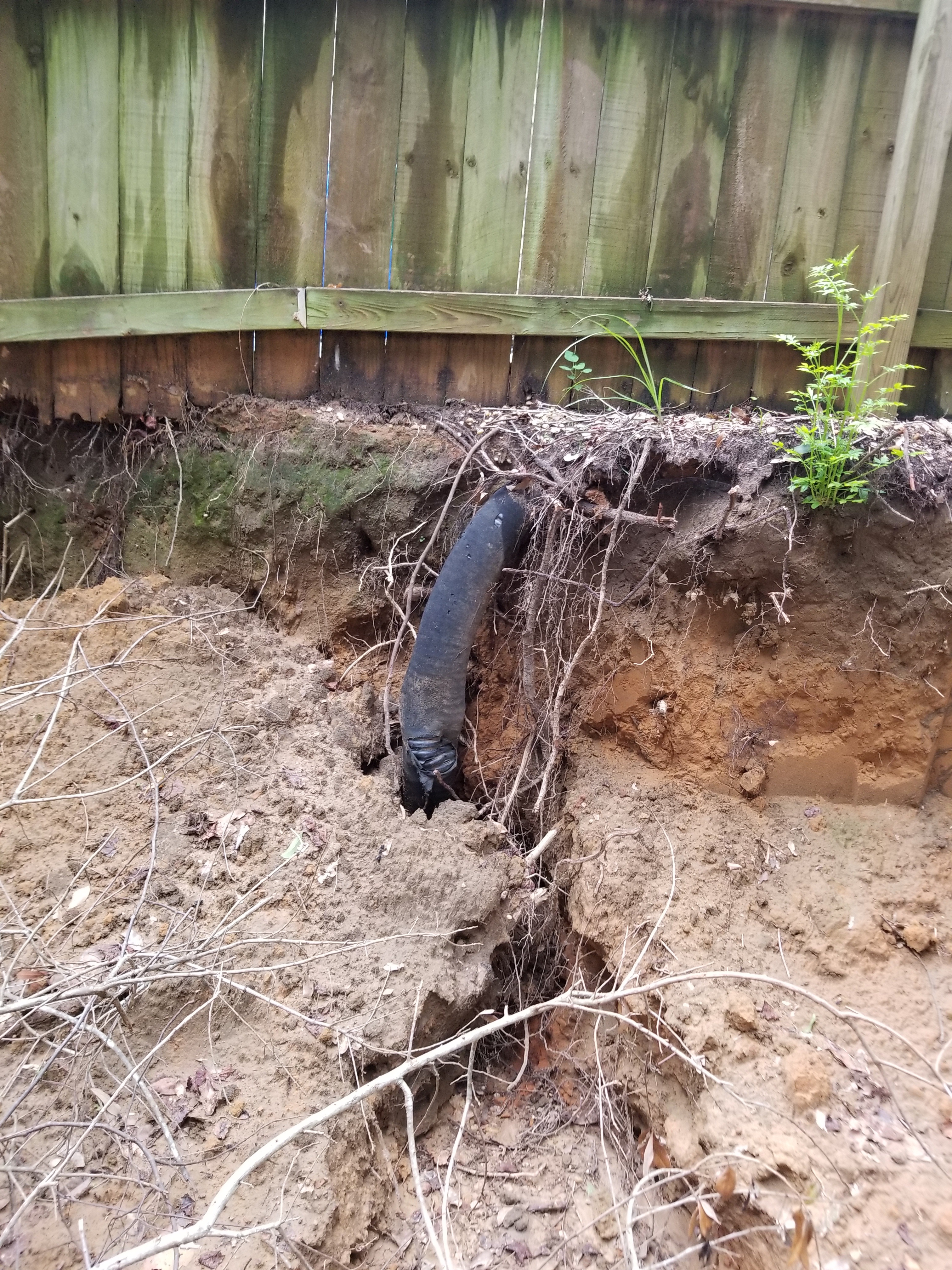 Photo of soil erosion along fenceline