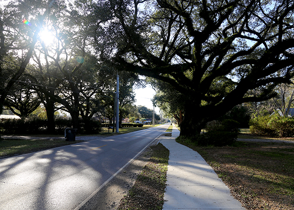 9 and a Half Mile Road Sidewalk