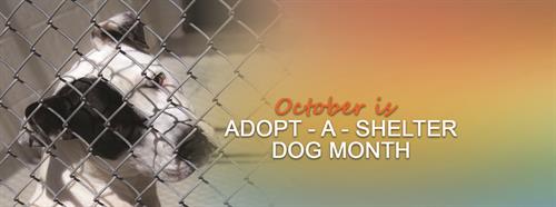 Adopt-a-Shelter Dog Month