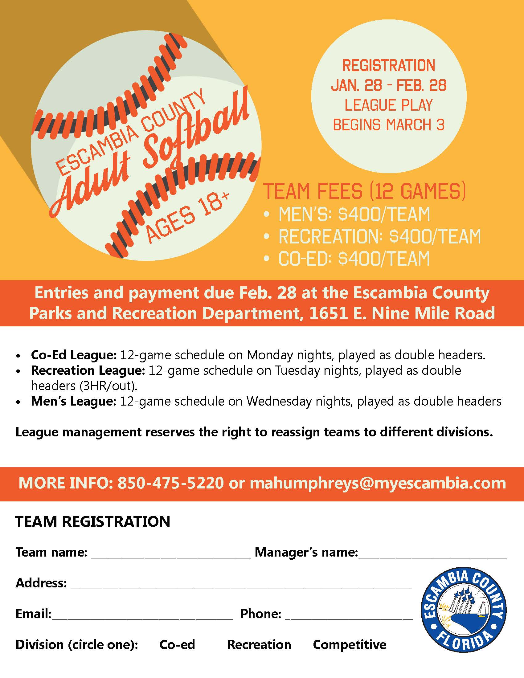 Adult softball flyer 2020