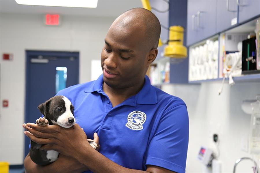 animal shelter staff 3