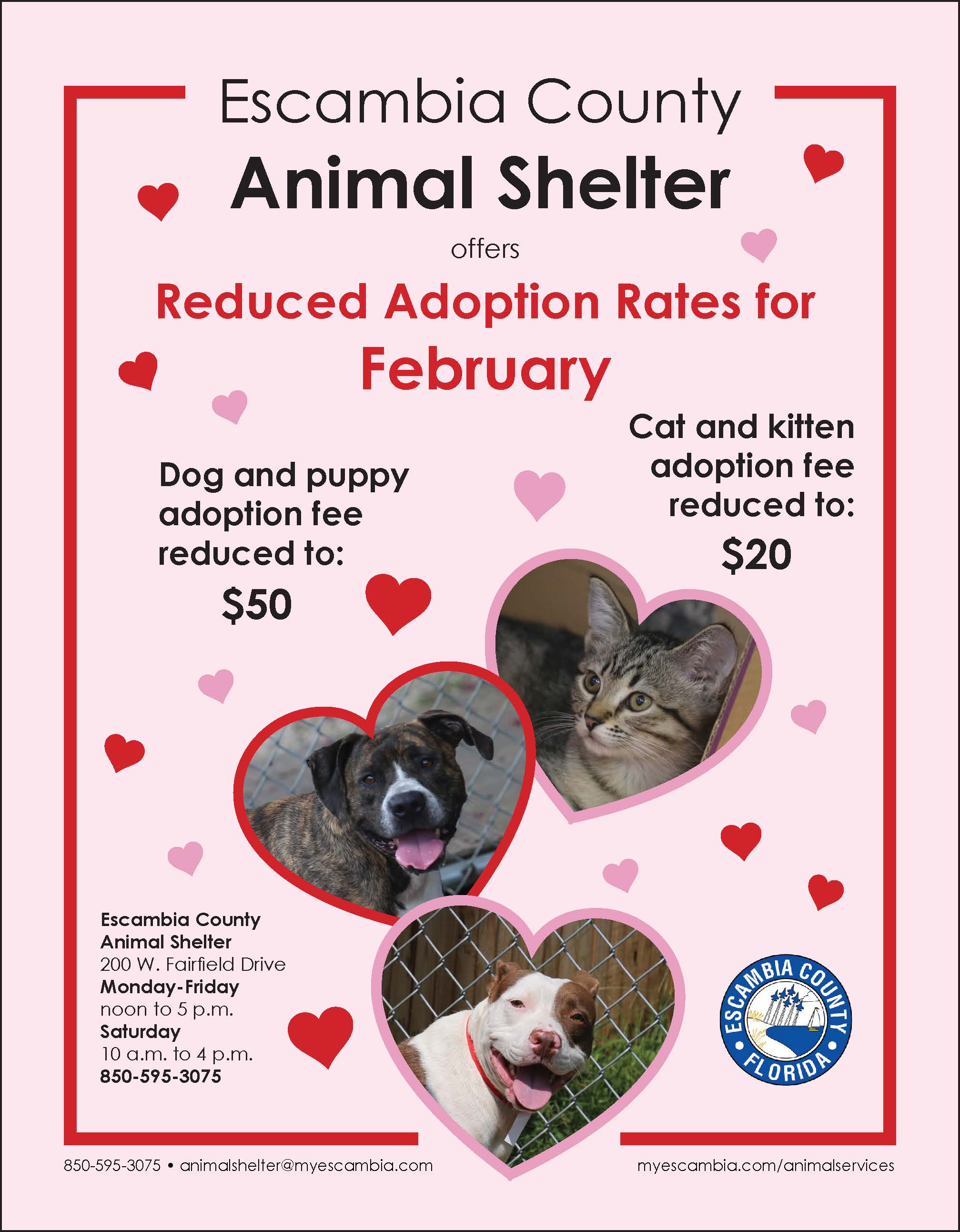 Animal Shelter Valentine's Day Flyer 2020