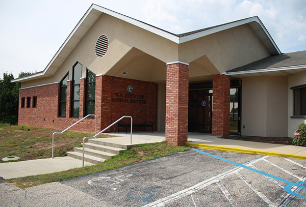 Animal shelter Animal shelter