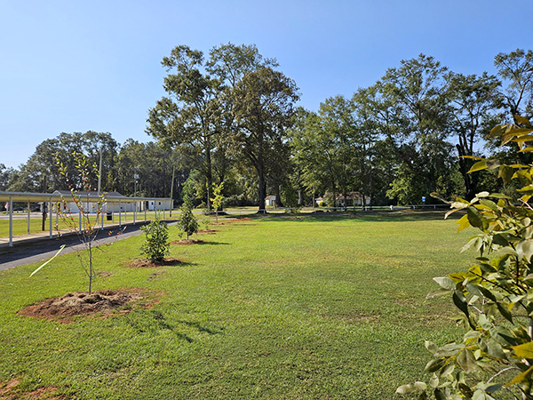 Arboretum