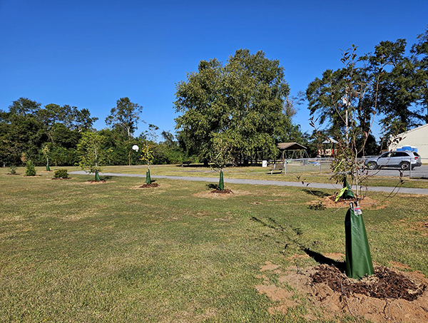 Arboretum