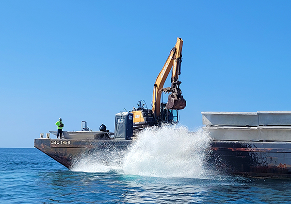Artificial Reef 