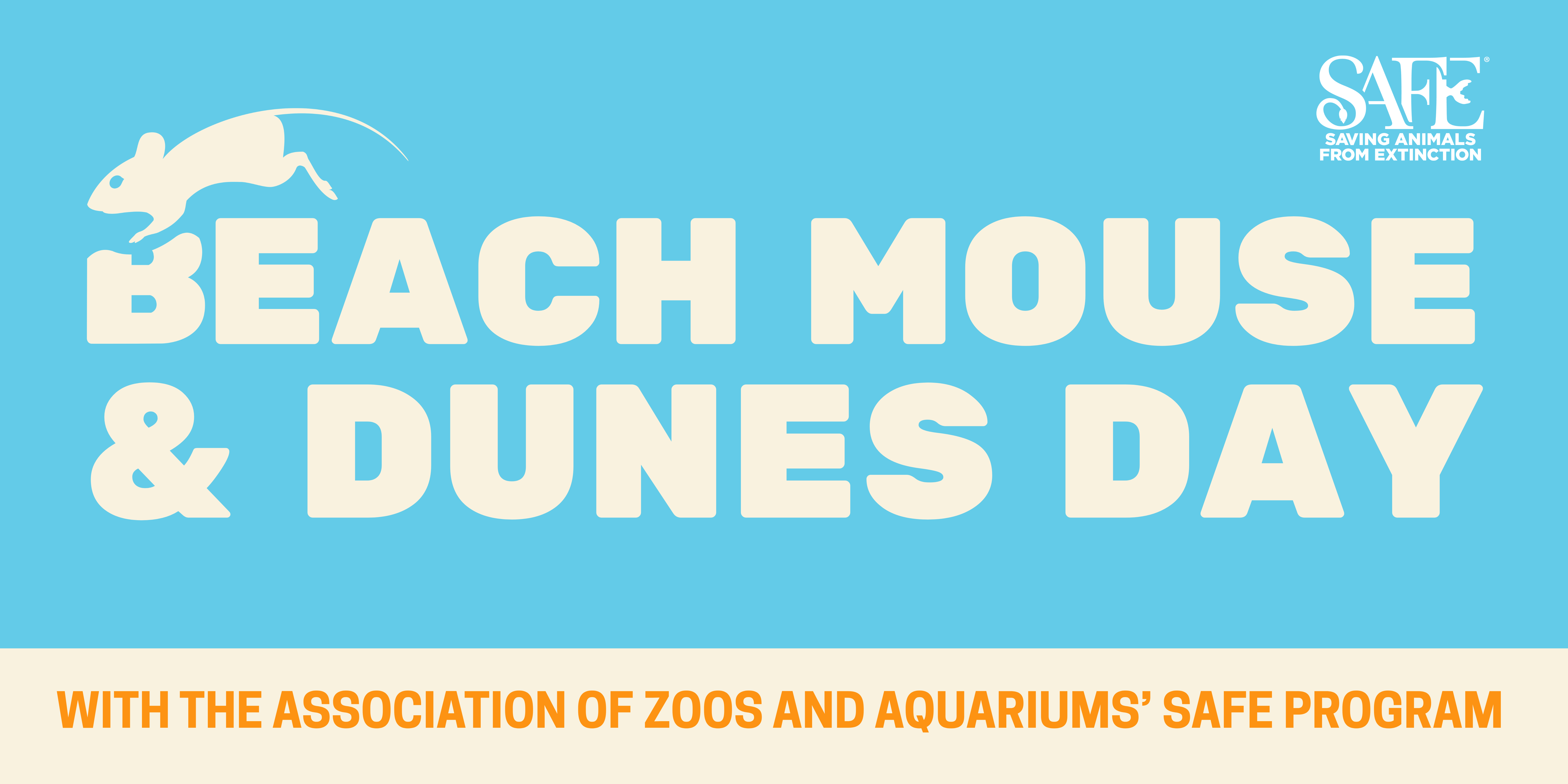 Beach Mouse and Dunes Day Event Beach Mouse and Dunes Day Event