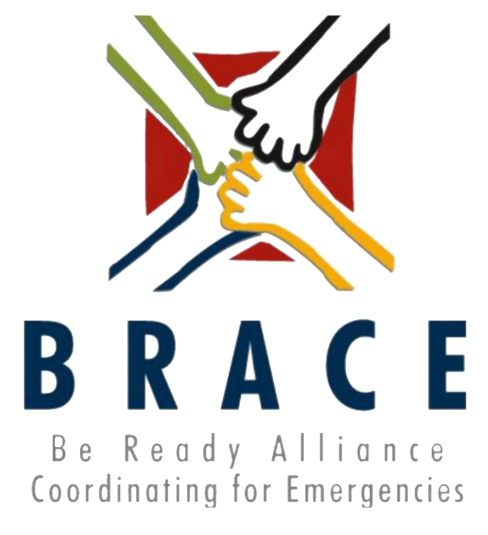 BRACE Logo