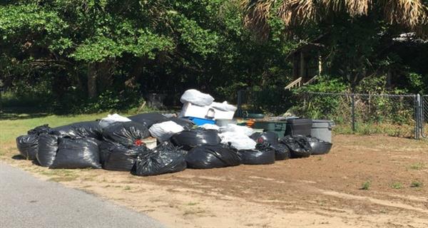 brentwood cleanup 2 before brentwood cleanup 2 before