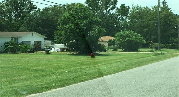 Cantonment_Farm Hill After 2 Cantonment_Farm Hill After 2