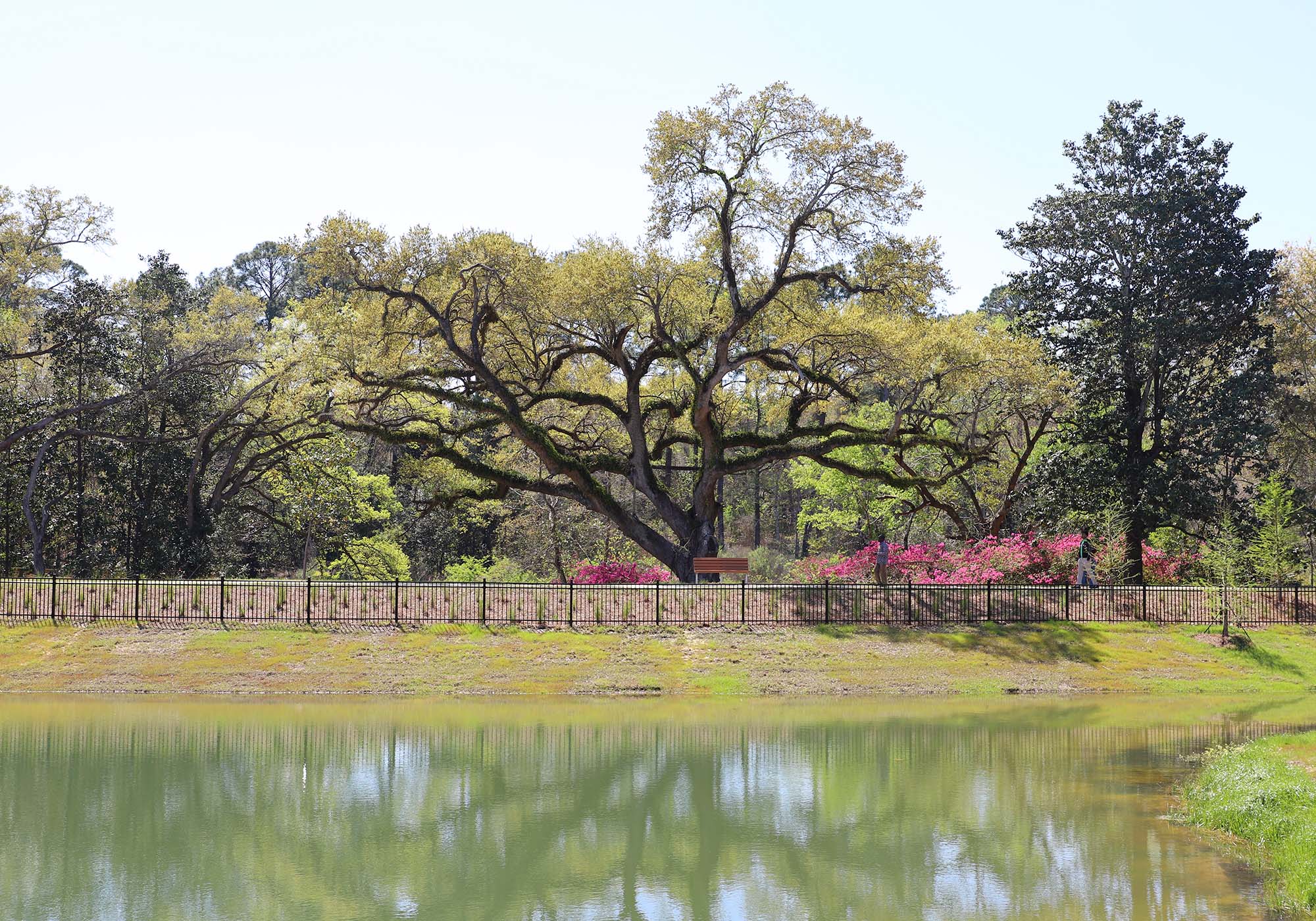 Carpenter Creek Headwaters Park