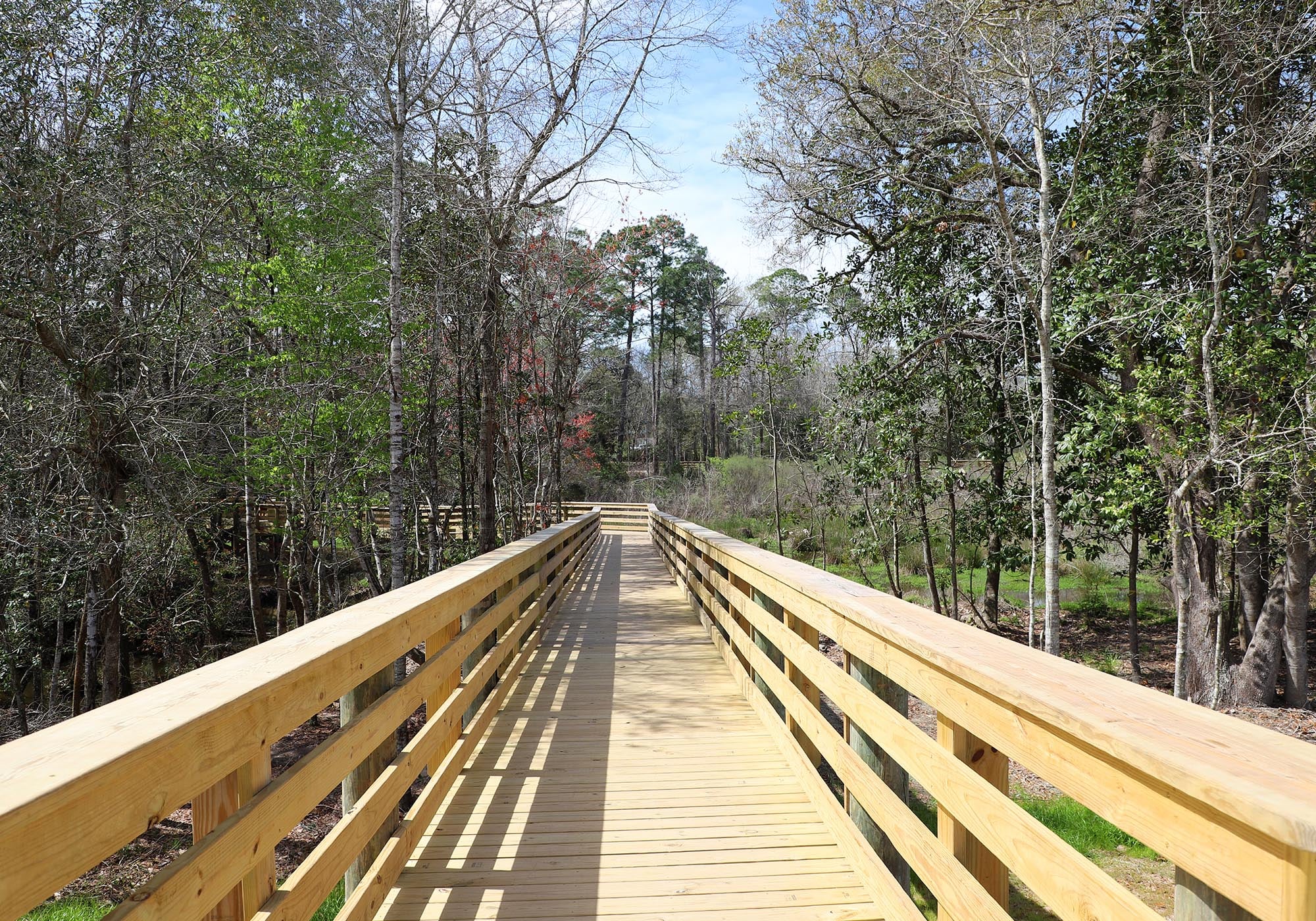Carpenter Creek Headwaters Park