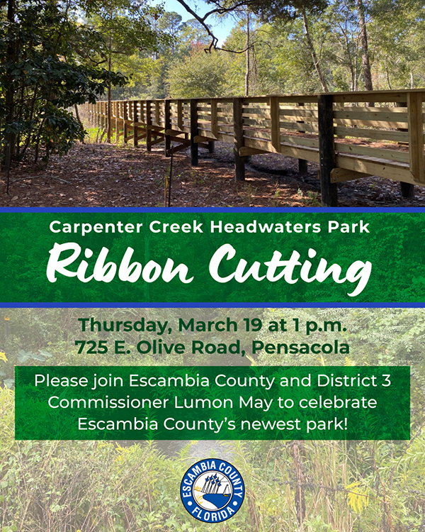 Carpenter Creek Ribbon Cutting Invitation