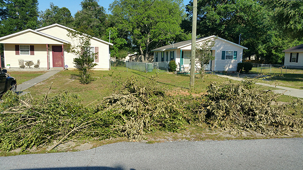 Carriage Hills cleanup 1