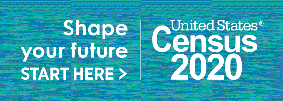 census 2020 census 2020