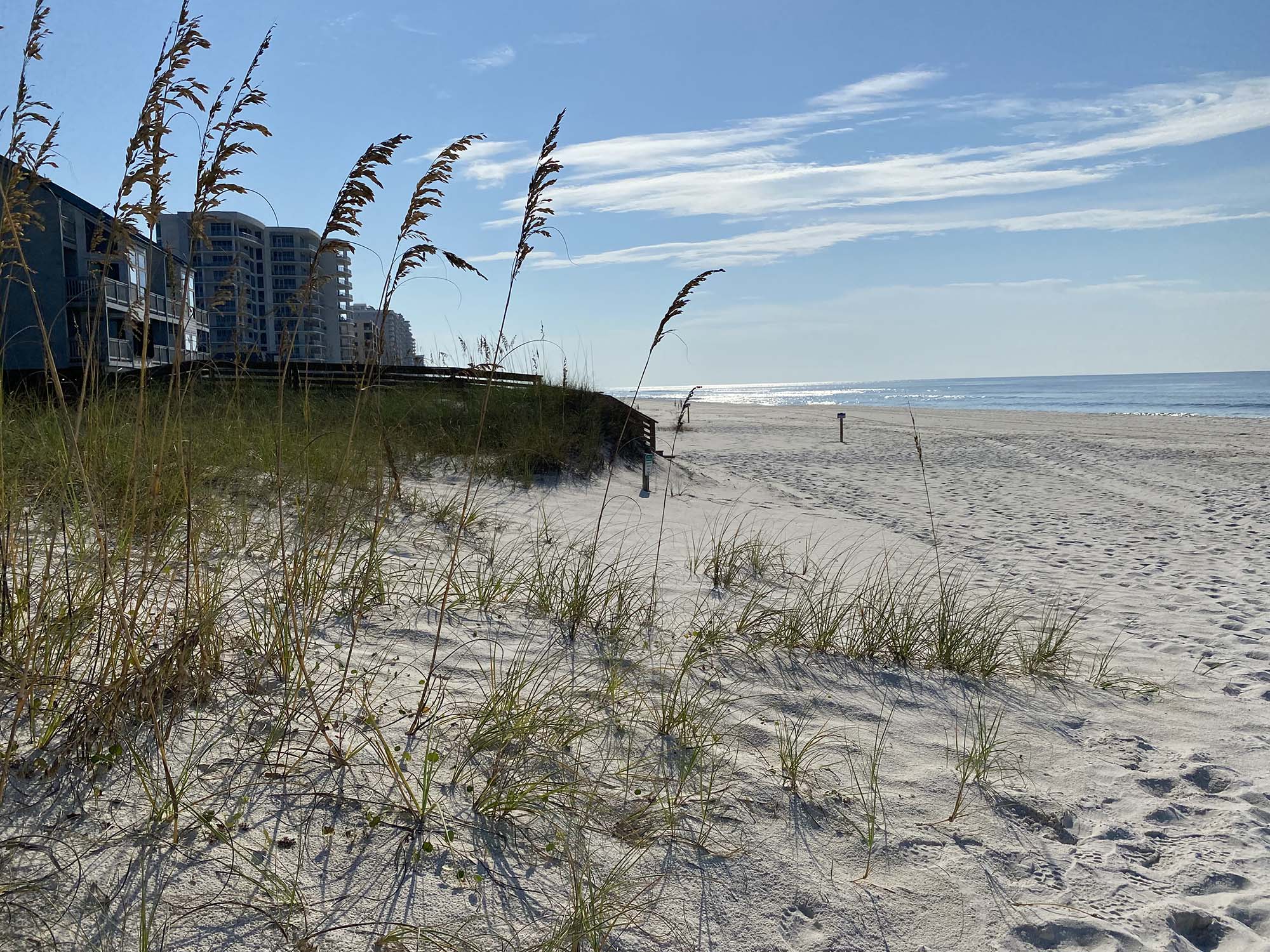 Coastal Dune on Pensacola Beach