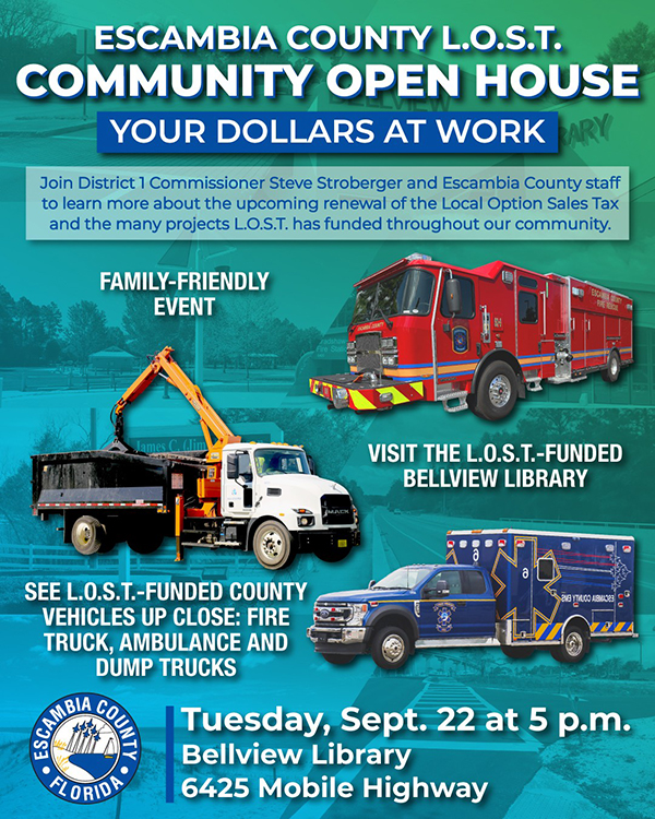 District 1 L.O.S.T. flyer