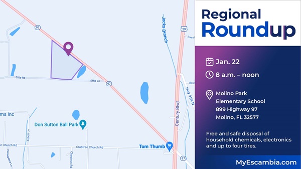 Regional Roundup at Molino Park Elementary School