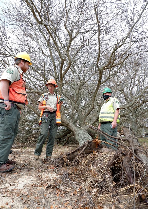 Urban Forestry Strike Team Urban Forestry Strike Team