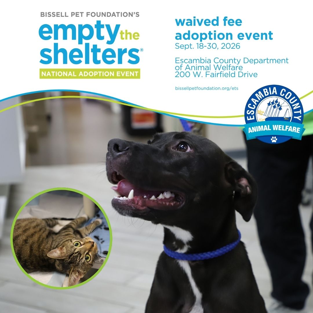 Image advertising the BISSELL Pet Foundation Empty the Shelters adoption event