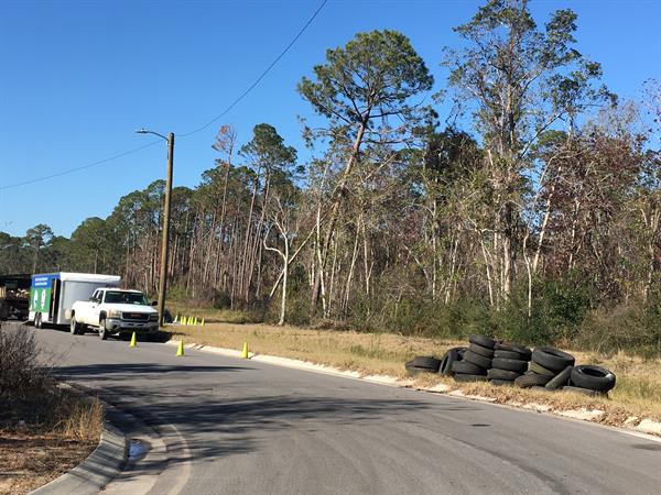 Navy Point - Beach Haven Cleanup1